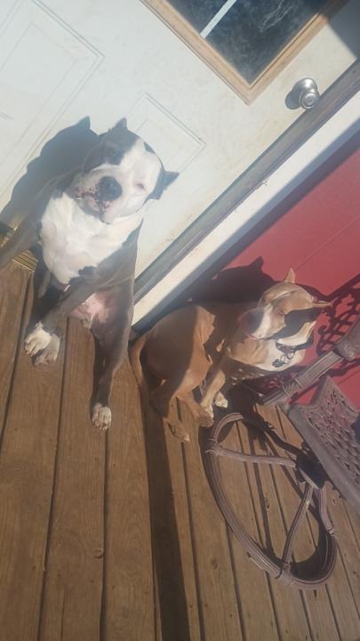 Kj Wolford