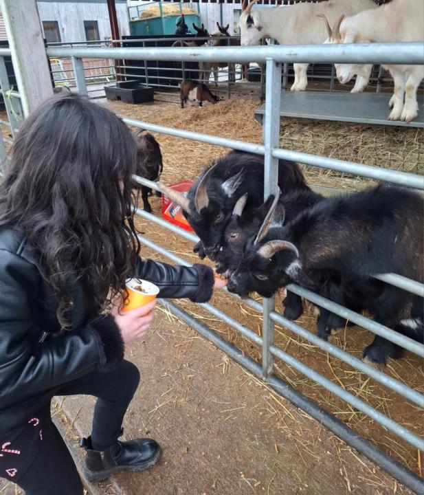 Childrens mental health