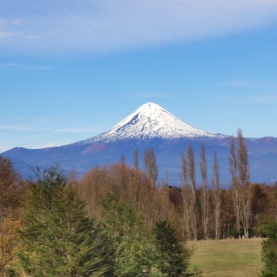 Luis Edgardo Tapia Morales