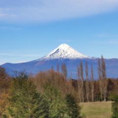 Luis Edgardo Tapia Morales