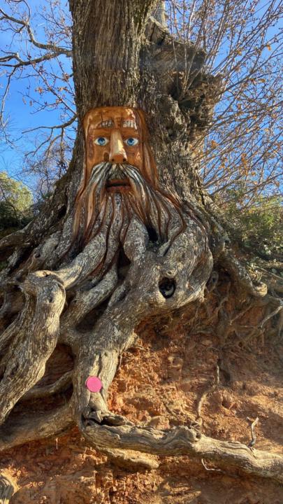 Miriam Calado Sanjuan