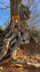 Miriam Calado Sanjuan