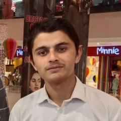 Wajid Ullah