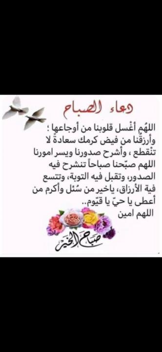 صلاح الدين زوهير