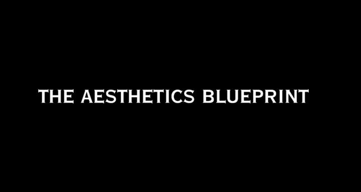 The Aesthetics Blueprint