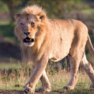 Jackson and Tolu Bajulaiye