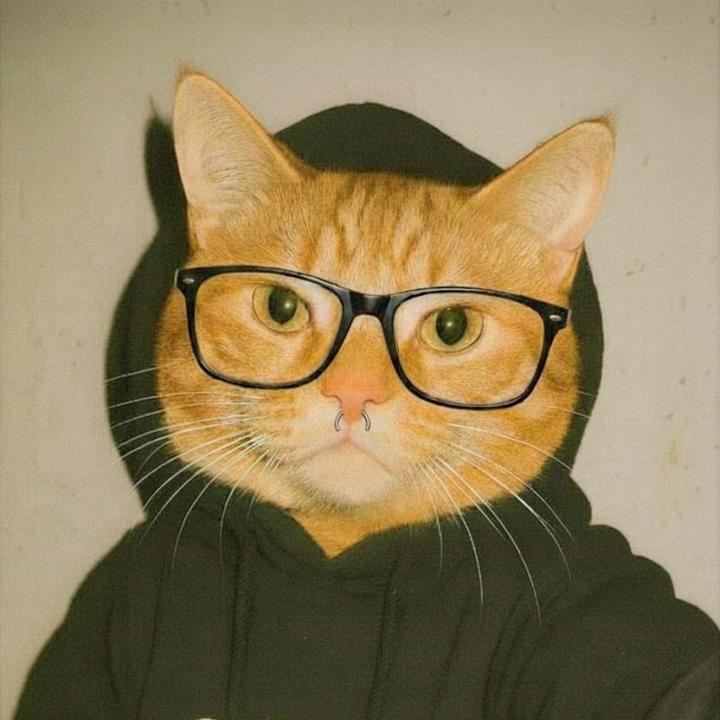 Gudy Saunxxe