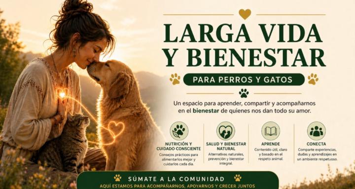 Larga Vida - Perros y Gatos