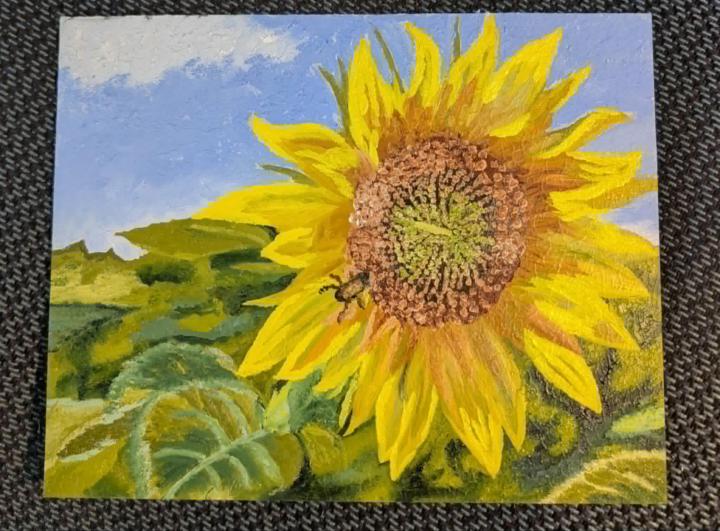 The value of a critique and a Second Layer