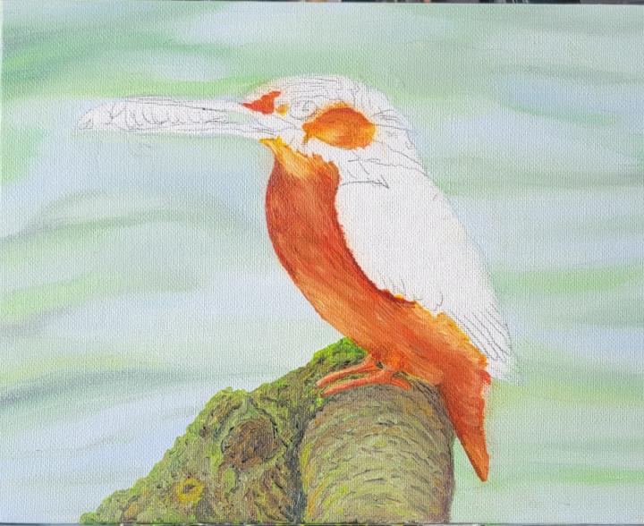 Kingfisher