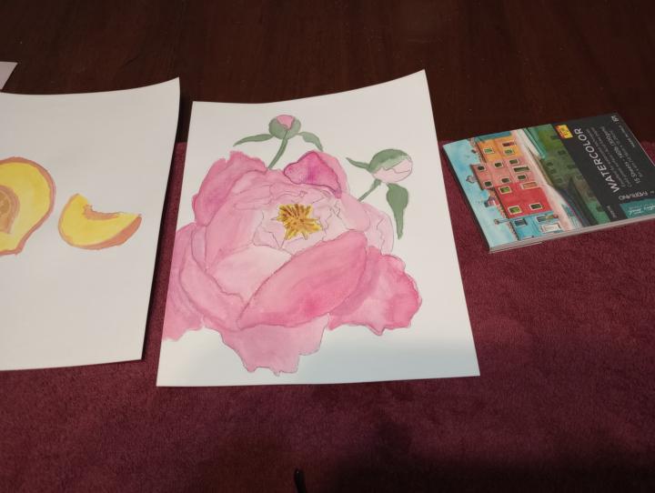 Some watercolors I did lately.