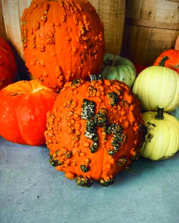 VOTING is OPEN - Drop your vote.