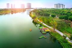 Quốc Tony