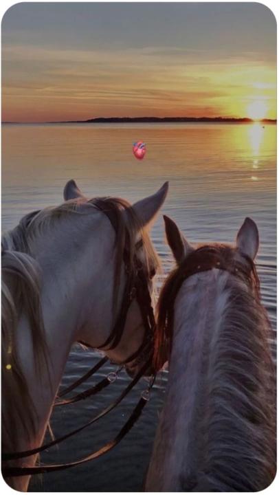 Brithany Castellanos