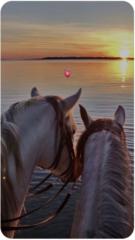 Brithany Castellanos