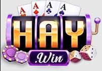 Haywin In net
