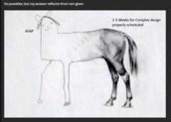 Gabi Ad