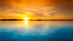 Şəbnəm Məmmədli