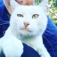 Vladislav Kravchenko