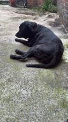 Dimitris Papakonstantis