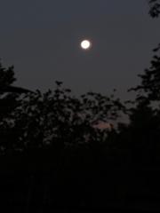 Juan Camilo Gómez Sandoval