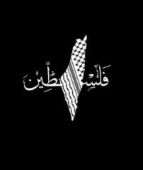 Ahmed Naji