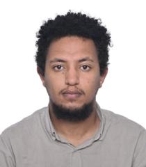 Amin Ahmed