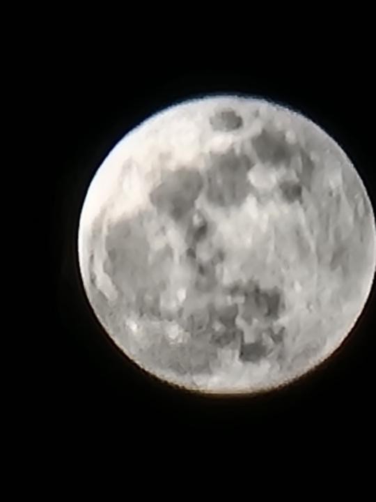 Christopher Okoniewski