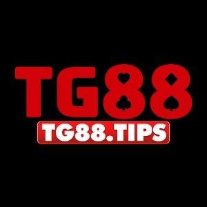 T G