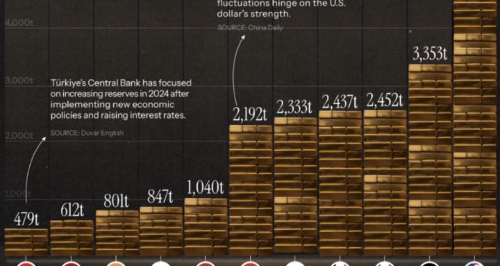 Physical Asset Kings