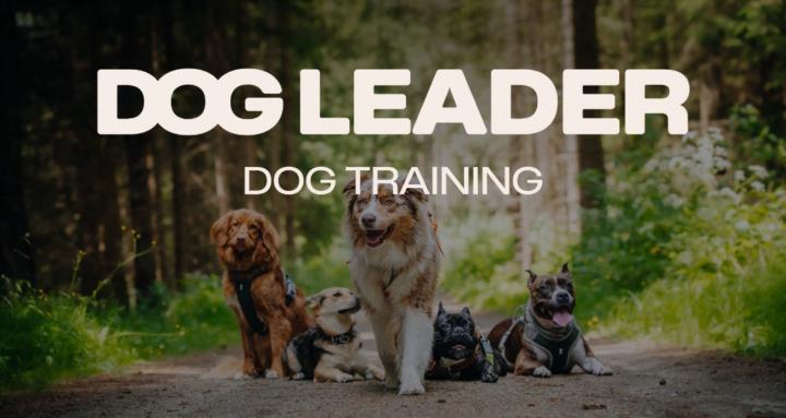 Dogleader