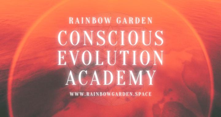 Conscious Evolution Academy
