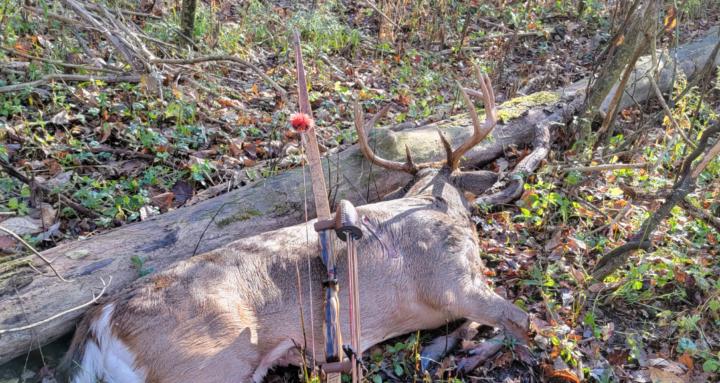 Traditional Bowhunting