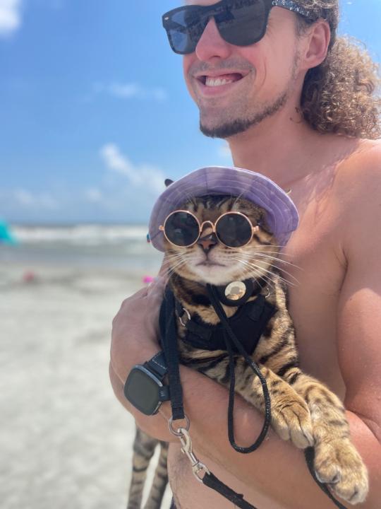 Zane Cook