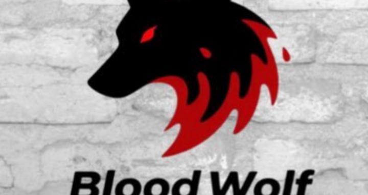 Blood Wolf Gaming