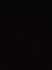 Elisa Ferdinand