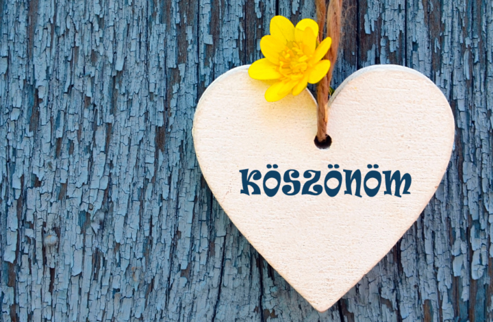 Hála - Te miért vagy ma hálás?