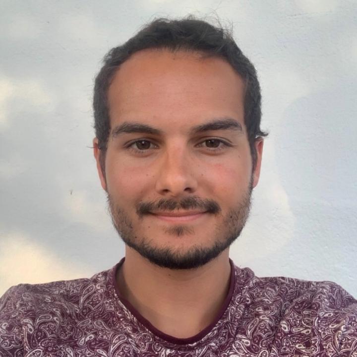 Sina Movaghar