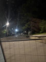 Илия Павлов