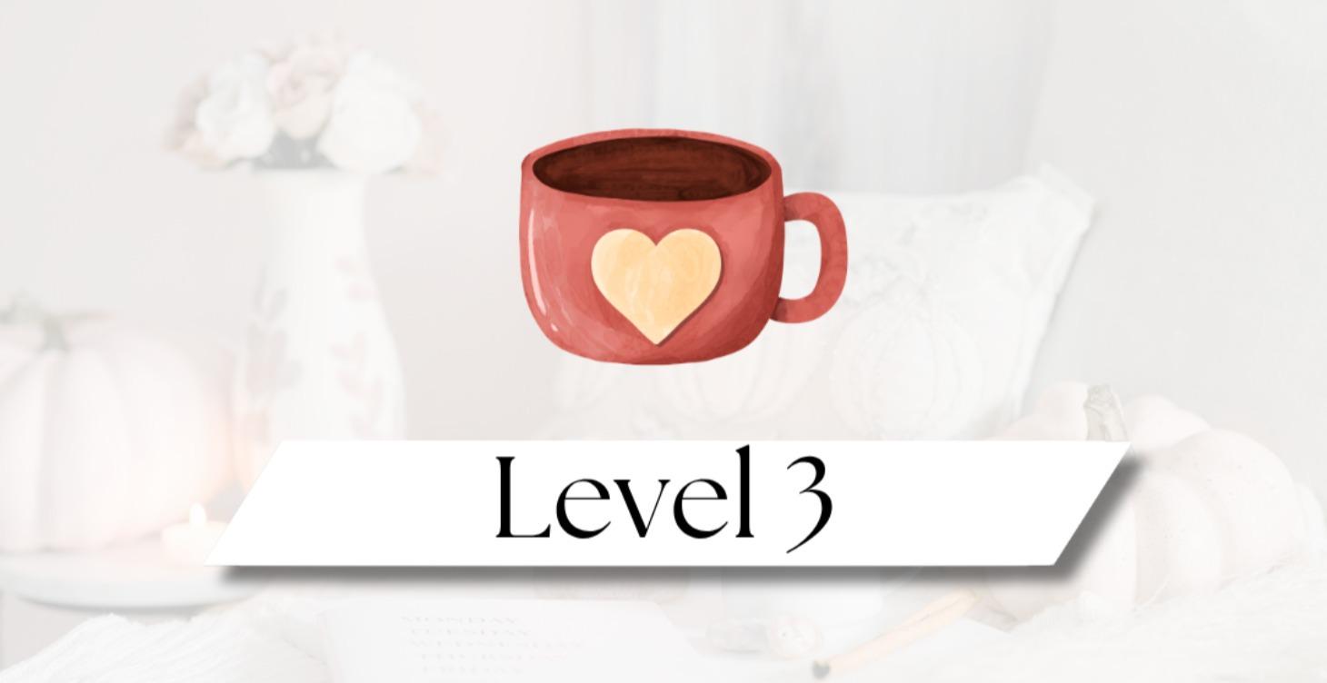 Level 3