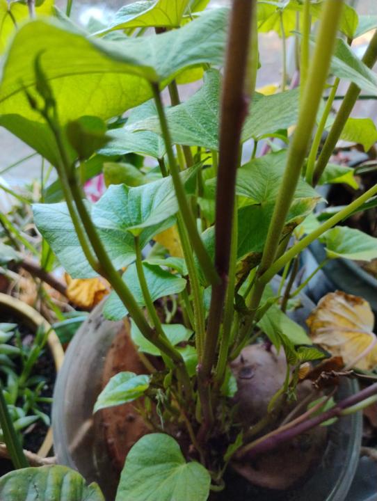 Healthy habits to last a lifetime..