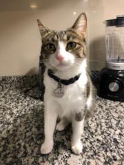 Héctor Orlando Villagra