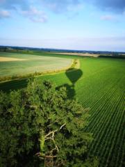 Béatrice Charpentier