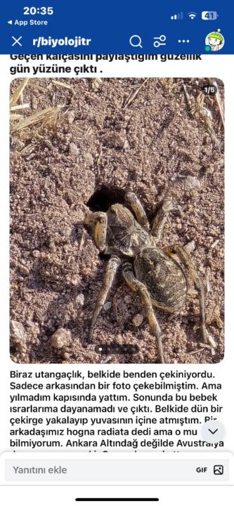 Mustafa Şahin Karğın