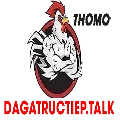 Đá gà trực Tiếp talk