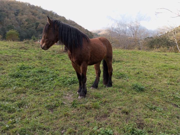 Esther Fernández Sanchez