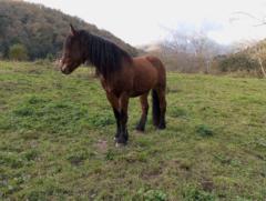 Esther Fernández Sanchez