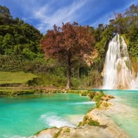 Alberto Buitimea Valenzuela