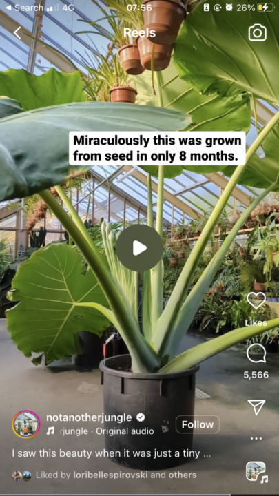 Extra Fast Sauce Growers