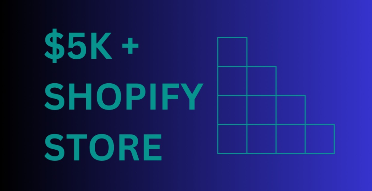 Build A Shopify Store